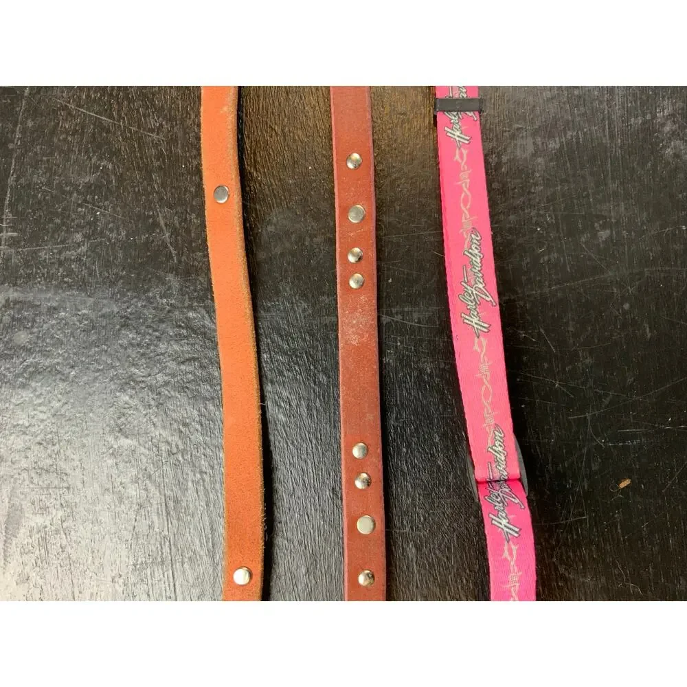 Lot Harley-Davidson Dog Collars Pink Orange Leather Nylon Small Medium Pet